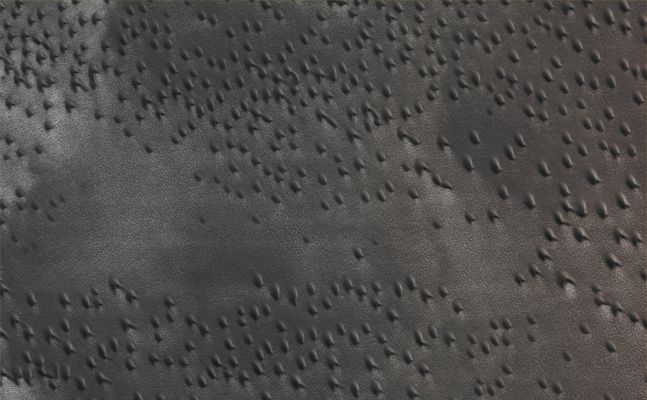 Northern Dunes (CTX Frame "B" - Absolute Natural Colors; credits for the additional process. and color.: Dr Paolo C. Fienga/Lunexit Team)
This Field of crescent-shaped Dunes (located at Lat. 73,62° North and 328,215° East Long.) is located just South of the North Polar Layered Terrain. These Dunes, known as "Barchan Dunes", usually form where there is a moderate supply of Sand and a Prevailing Wind Direction (meaning that they form in Regions where there are Dominant Winds). The "Arms" (or "Horns") of the Barchan Dunes point in the downwind direction and in this case this circumstance indicates that the Dominant Winds blow towards the North/West.

Mars Local Time: 14:42 (Early Afternoon)
Coord. (centered): 73,622° North Lat. and 328,215° East Long.
Spacecraft altitude: 316,7 Km (such as about 198,0 miles) 
Original image scale range: 63,4 cm/pixel (with 2 x 2 binning) so objects ~ 1 mt and 90 cm across are resolved
Map projected scale: 50 cm/pixel
Map projection: POLAR STEREOGRAPHIC
Emission Angle: 1,9° 
Sun - Mars - MRO (or "Phase") Angle: 57,6°
Solar Incidence Angle: 56° (meaning that the Sun is about 34° above the Local Horizon)
Solar Longitude: 117,4° (Northern Summer - Southern Winter)
Credits: NASA/JPL/University of Arizona
Additional process. and coloring: Lunar Explorer Italia
Parole chiave: Mars from orbit - Dunefield - Vastitas Borealis Region