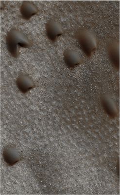 Northern Dunes (EDM - Absolute Natural Colors; credits for the additional process. and color.: Dr Paolo C. Fienga/Lunexit Team)
The Dunes visible in this EDM are approximately 100 meters across and they are traversing a bumpy, hard Terrain. Polygonal Patterns are evident in some areas while numerous meter-scale Boulders are strewn throughout the whole Region. The Boulders are more numerous in areas where the Polygonal Patterns are less pronounced. Repeated imaging of this large Dunefield shall reveal whether these Dunes are presently moving (so-called "Migrating Dunes") or not.

Mars Local Time: 14:42 (Early Afternoon)
Coord. (centered): 73,622° North Lat. and 328,215° East Long.
Spacecraft altitude: 316,7 Km (such as about 198,0 miles) 
Original image scale range: 63,4 cm/pixel (with 2 x 2 binning) so objects ~ 1 mt and 90 cm across are resolved
Map projected scale: 50 cm/pixel
Map projection: POLAR STEREOGRAPHIC
Emission Angle: 1,9° 
Sun - Mars - MRO (or "Phase") Angle: 57,6°
Solar Incidence Angle: 56° (meaning that the Sun is about 34° above the Local Horizon)
Solar Longitude: 117,4° (Northern Summer - Southern Winter)
Credits: NASA/JPL/University of Arizona
Additional process. and coloring: Lunar Explorer Italia
Parole chiave: Mars from orbit - Dunefield - Vastitas Borealis Region