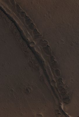 Unusually-looking Surface Feature (EDM - Absolute Natural Colors; credits for the additional process. and color.: Dr Paolo C. Fienga/Lunar Explorer Italia/Italian Planetary Foundation)
This image, taken by the NASA - Mars Reconnaissance Orbiter on March 28, 2013, shows us a number of shallow and Irregular Pit-like Features with Raised Rims, all concentrated along Ridges and other Topographic Features (---> Surface Reliefs). How did these unusually-looking Surface Features form? One idea is that they could be the final and visible result of the Sublimation of shallow lenses of nearly pure Ice but, even assuming that this theory is correct, why do the Pits have Raised Rims? So far, nobody was good enough to answer to that question.
If we keep reasoning about the possible nature of these Surface Features, we also have to say that they cannot - reasonably - be just shallow Impact Craters, because such an alignment seems extremely unlikely (and the irregular margins of the alleged "Impact Craters" would be even harder to explain); furthermore, these Landforms cannot even be Wind-blown Deposits of Material because, all the way next to them, can be seen very many Boulders which are way too big (and therefore too heavy!) to be moved simply by the Wind. 
As you can see, there are younger Wind-blown Drifts on top of the Pits and, for the time being, we have not found a clear (---> substantiated) connection between these Landforms and some possible Volcanic Phenomenon. However, a few Planetary Scientists speculated that there might have been ancient Oceans over this Region, but could this possibility, even if it is correct, somehow be good to satisfactorily explain these Features? The answer is no. Last, but not least, what we see in this frame could also be the result of an ancient Glaciation where, perhaps, powerful Winds deposited Ice-rich Debris next to Topographic Obstacles. 
Future (and closer) images of this Region may provide us with more clues but, for now, this Landforms are still a mystery. Just one of the many, of course...

Mars Local Time: 14:20 (Early Afternoon)
Coord. (centered): 30,959° North Lat. and 339,402° East Long.
Spacecraft altitude: 293,8 Km (such as about 182,449 miles) 
Original image scale range: 58,8 cm/pixel (with 2 x 2 binning) so objects ~ 1 mt and 76 cm across are resolved
Map projected scale: 50 cm/pixel
Map projection: EQUIRECTANGULAR
Emission Angle: 2,6° 
Phase Angle: 62,5°
Solar Incidence Angle: 64° (meaning that the Sun was about 26° above the Local Horizon at the time the picture was taken)
Solar Longitude: 290,8° (Northern Winter - Southern Summer)
Credits: NASA/JPL/University of Arizona
Additional process. and coloring: Lunar Explorer Italia

This picture (which is a NASA - Original Mars Reconnaissance Orbiter NON-Map Projected EDM b/w frame identified by the serial n. ESP_031268_2115-1) has been additionally processed and then colorized in Absolute Natural Colors (such as the colors that a human eye would actually perceive if someone were onboard the NASA - Mars Reconnaissance Orbiter and then looked down, towards the Surface of Mars), by using an original technique created - and, in time, dramatically improved - by the Lunar Explorer Italia Team.
Parole chiave: Mars from orbit - Southern Regions - Unusually-looking Surface Feature