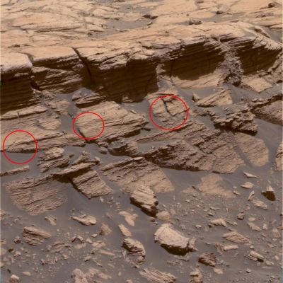 Sedimentary Rocks' Outcrop in Meridiani Planum
OPPORTUNITY: SOL 749

Questo frame è importante perché mostra un’affioramento di rocce sedimentarie i cui strati presentano un assetto molto caratteristico. 
Se si guardano con attenzione le aree circoscritte si noterà, infatti, che le stratificazioni non sono parallele ma confluiscono in un punto a formare delle cuspidi. 
Questo tipo di Geometria Deposizionale è chiamata “cross bedding” ed è tipica, sulla Terra, di ambienti costieri dove l’azione delle correnti da moto ondoso genera patterns (---> disegni) di questo genere. 

Bisogna, per correttezza di informazione, ricordare che anche l’azione del vento può provocare il cross bedding, tuttavia in questo caso si è già dimostrato - impiegando Strumenti di Analisi ulteriori (ad esempio effettuando le analisi chimico-fisiche e geologiche del sedimento e dei berries in particolare) - che l’ambiente di sedimentazione del Corpo Roccioso in questione doveva essere sommerso dalle acque.

Il cross bedding, in definitiva, conferma ulteriormente la teoria della presenza, nel passato remoto di Marte, sia di antichi laghi, sia di mari veri e propri; in una parola, parliamo della presenza dell’Idrosfera.
Parole chiave: Martian Surface - Sedimentary Rocks