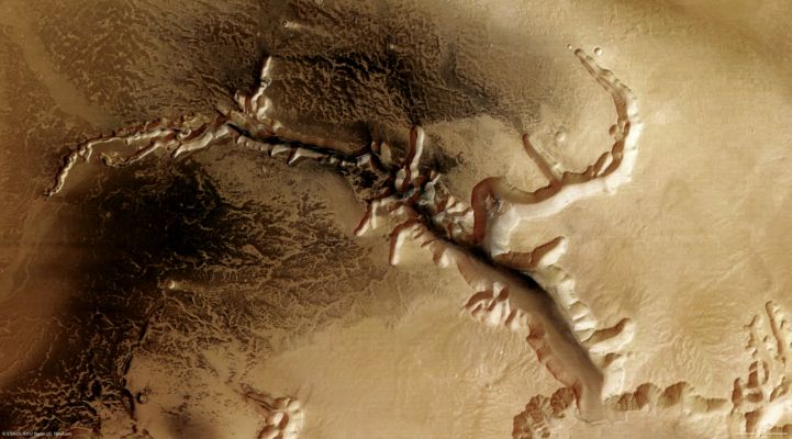 Echus Chasma (False Colors)
The High-Resolution Stereo Camera (HRSC) on board ESA’s Mars Express has returned images of Echus Chasma, one of the largest Water Source Regions on the Red Planet.
The data were acquired on September, 25, 2005. 
The pictures are centred at about 1° North and 278° East and have a ground resolution of approx. 17 mt/pixel. 
Echus Chasma is an approx. 100 Km long and 10 Km wide incision in the Lunae Planum High Plateau North of Valles Marineris, the ‘Grand Canyon’ of Mars. Echus Chasma is the Water Source Region of Kasei Valles, which extends thousands of Km to the North, and its southern-most part. The images of the Echus Chasma plateau show valleys that are about 10 km long and 1000 m deep. The main valley, Kasei Valles, is about 4 km in depth. The smaller valleys, also called sapping canyons, originate from the discharge of groundwater.
Echus Chasma is bounded to the West by the Echus Chasma Plateau, which lies about 4 Km above the Echus Chasma floor. 
Parole chiave: Mars from orbit - Echus Chasma Region