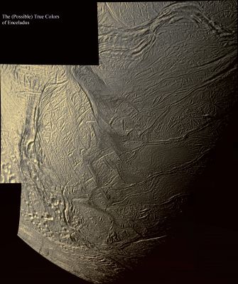 The (possible) True Colors of Enceladus (credits: Lunexit)
Questa colorizzazione in possibili Colori Veri è la risposta ad un quesito postoci dal nostro Amico "Alby56", il quale ci domanda - appunto - quali sìano (possano essere) i colori di Encelado.
Come ovvio, una risposta che abbia valore assoluto non possiamo darla, però possiamo provare a ragionarci sopra e vedere che cosa si riesce a stabilire...Dunque:

1) Encelado, a quanto pare, è completamente ricoperto da uno (spesso) strato di ghiaccio d'acqua ed esso - per motivi ancora non noti, ma che potremmo rinvenire, ad esempio, in un "riscaldamento periodico" dell'intero globo causato da "frizionamento mareale" con Saturno, si rinnova, nel tempo, rimuovendo i segni classici che dimostrano l'invecchiamento di un Corpo Celeste (su tutti: i crateri da impatto, i quali vengono - letteralmente - "cancellati", se sono piccoli, oppure "riempiti e parzialmente nascosti", se di medio-grandi dimensioni); 
2) il ghiaccio d'acqua, allorchè illuminato dal Sole, risplende di color bianco, con riflessi azzurri;
3) il Sole, visto da Encelado, dovrebbe apparire non molto più grande di una qualsiasi delle altre stelle visibili dalla sua superficie e questo ci spinge a ritenere che la sua capacità di illuminare questo piccolo mondo sia trascurabile;
4) su Encelado, non esistendo un'atmosfera e dunque non sussistendo le condizioni per la diffusione della luce solare (anche se ci è possibile ipotizzare una diffusione minima e meramente stagionale - grazie alle particelle di ghiaccio e di vapore acqueo che restano, per un certo tempo, in sospensione nello spazio circum-Enceladiano), riteniamo che il panorama visibile ad occhi umani risulti, globalmente, piuttosto buio. 

Ma attenzione: potrebbe essere ragionevole ipotizzare una dominante bianca (provocata dal Sole e dal ghiaccio) durante il "Giorno" di Encelado - ed a cielo sgombro - oppure, allorchè Saturno splende nel cielo di Encelado in tutta la sua pienezza, si potrebbe ipotizzare, sempre per una visione "umana", un paesaggio illuminato da una colorazione dominante giallo-arancio, la quale - al suolo - potrebbe tradursi in un colorito giallo pallido dei rilievi maggiori, con riflessi bianchi, azzurri e, forse - in alcune zone - anche verdastri.

Conclusioni: da una certa distanza (supponiamo tra i 500 ed i 25000 Km), Encelado - ad occhi umani - dovrebbe apparire, allorchè illuminato congiuntamente dal Sole e da Saturno (come in questo frame), di color giallo pallido, con riflessi bianchi ed azzurri (e quindi, in alcune regioni ed in determinate ore del giorno, non è assurdo ipotizzare la visione/percezione di delicate sfumature di color grigio e rosa).

Oltre i 25000/30000 Km di distanza, infine, Encelado dovrebbe apparire, ad un Osservatore che lo scrutasse "ad occhio nudo", di color bianco brillante, con debolissime (diremmo quasi impercettibili) sfumature di colore giallo e rosa.
Parole chiave: Saturn's Moon - Enceladus