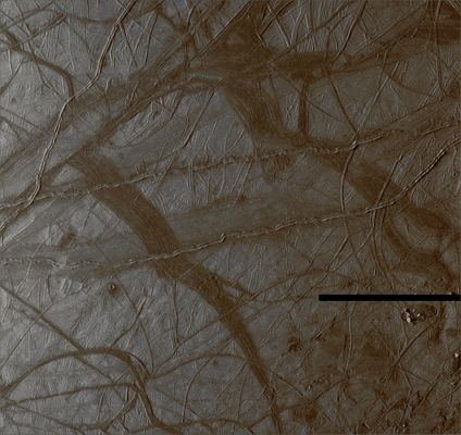 Ridges on Europa (Absolute Natural Colors; credits for the additional process. and color.: Dr Paolo C. Fienga - Lunexit Team)
nessun commento
Parole chiave: Jupiter Moons - Europa