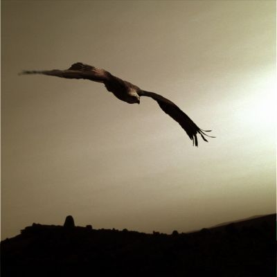 Freedom (credits: Dr Marco Faccin)
"...Un Regno che non conosce la Pietà, è un Regno effimero..."
Parole chiave: Fantasy