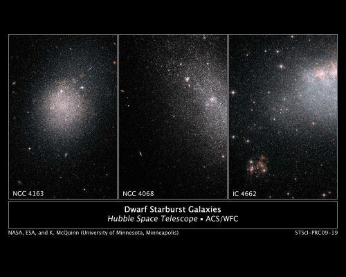 Starbursts in Dwarf Galaxies are a Global Affair
Bursts of star making in a galaxy have been compared to a Fourth of July fireworks display: They occur at a fast and furious pace, lighting up a region for a short time before winking out.

But these fleeting starbursts are only pieces of the story, astronomers say. An analysis of archival images of small, or dwarf, galaxies taken by NASA's Hubble Space Telescope suggests that starbursts, intense regions of star formation, sweep across the whole galaxy and last 100 times longer than astronomers thought. The longer duration may affect how dwarf galaxies change over time, and therefore may shed light on galaxy evolution.

"Our analysis shows that starburst activity in a dwarf galaxy happens on a global scale", explains Kristen McQuinn of the University of Minnesota in Minneapolis and leader of the study. "There are pockets of intense star formation that propagate throughout the galaxy, like a string of firecrackers going off". According to McQuinn, the duration of all the starburst events in a single dwarf galaxy would total 200 to 400 MYs.
These longer timescales are vastly more than the 5 to 10 MYs proposed by astronomers who have studied star formation in dwarf galaxies. "They were only looking at individual clusters and not the whole galaxy, so they assumed starbursts in galaxies lasted for a short time".
Dwarf galaxies are considered by many astronomers to be the building blocks of the large galaxies seen today, so the length of starbursts is important for understanding how galaxies evolve.
"Astronomers are really interested to find out the steps of galaxy evolution", McQuinn says. "Exploring these smaller galaxies is important because, according to popular theory, large galaxies are created from the merger of smaller, dwarf galaxies. So understanding these smaller pieces is an important part of filling in that scenario".

McQuinn's team analyzed archival Advanced Camera for Surveys data of three dwarf galaxies, NGC 4163, NGC 4068 and IC 4662. Their distances range from 8 to 14 MLYs away. The trio is part of a survey of starbursts in 18 nearby dwarf galaxies. Hubble's superb resolution allowed McQuinn's team to pick out individual stars in the galaxies and measure their brightness and color, two important characteristics astronomers use to determine stellar ages. 
By determining the ages of the stars, the astronomers could reconstruct the starburst history in each galaxy.

Two of the galaxies, NGC 4068 and IC 4662, show active, brilliant starburst regions in the Hubble images. The most recent starburst in the third galaxy, NGC 4163, occurred 200 MYs ago and has faded from view. The team looked at regions of high and low densities of stars, piecing together a picture of the starbursts. The galaxies were making a few stars, when something, perhaps an encounter with another galaxy, pushed them into high star-making mode. Instead of forming eight stars every thousand years, the galaxies started making 40 stars every thousand years, which is a lot for a small galaxy, McQuinn says. The typical dwarf is 10 to 30.000 LYs wide. By comparison, a normal-sized galaxy such as our Milky Way is about 100.000 LYs wide.

About 300 to 400 MYs ago star formation occurred in the outer areas of the galaxies. Then it began migrating inward as explosions of massive stars triggered new star formation in adjoining regions. Starbursts are still occurring in the inner parts of NGC 4068 and IC 4662.

The total duration of starburst activity depends on many factors, including the amount of gas in a galaxy, the distribution and density of the gas, and the event that triggered the starburst. A merger or an interaction with a large galaxy, for example, could create a longer starburst event than an interaction with a smaller system.
McQuinn plans to expand her study to a larger sample of more than 20 galaxies. "Studying nearby dwarf galaxies, where we can see the stars in great detail, will help us interpret observations of galaxies in the distant universe, where starbursts were much more common because galaxies had more gas with which to make stars".

McQuinn's results appeared in the April 10 issue of The Astrophysical Journal.
Parole chiave: From Space Images - Hubble Space Telescope (HST) Images