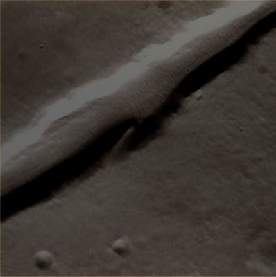 Unusual Surface Feature on the edge and inside the Graben (EDM - Absolute Natural Colors; additional process.: Dr Paolo C. Fienga - Lunexit Team)
nessun commento
Parole chiave: Mars from orbit - Volcanoes and Volcanic Features - Graben - Alba Mons