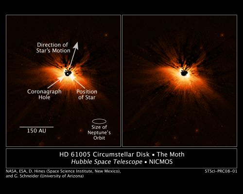 Circumstellar Dust Takes Flight in 'The Moth'
What superficially resembles a giant moth floating in space is giving astronomers new insight into the formation and evolution of planetary systems.

This is not your typical flying insect. It has a wingspan of about 22 billion miles. The wing- like structure is actually a dust disk encircling the nearby, young star HD 61005, dubbed "The Moth." Its shape is produced by starlight scattering off dust.

Dust disks around roughly 100-million-year-old stars like HD 61005 are typically flat, pancake-shaped structures where planets can form. But images taken with NASA's Hubble Space Telescope of "The Moth" are showing that some disks sport surprising shapes.

"It is completely unexpected to find a dust disk with this unusual shape," said senior research scientist Dean Hines of the Space Science Institute, New Mexico Office in Corrales, New Mexico, and a member of the Hubble team that discovered the disk. "We think HD 61005 is plowing through a local patch of higher-density gas in the interstellar medium, causing material within HD 61005's disk to be swept behind the star. What effect this might have on the disk, and any planets forming within it, is unknown."

Hines called this possible collision "unusual, because we don't expect very much interstellar material to be in the solar neighborhood. That's because the area through which our Sun is moving was evacuated within the past few million years by at least one supernova, the explosion of a massive star. Yet, here's evidence of dense material that's very close, only 100 light-years away."

Astronomers have found evidence that the environment in which a star forms influences its prospects for planet formation. Hubble has actually seen that young planet-forming disks can be affected directly by their environment. The harsh stellar radiation from the Trapezium stars in the Orion Nebula has altered some disks. It is unclear, however, what effect passage through a cloud similar to the one in which HD 61005 finds itself would have on planet formation. Researchers have speculated that passage through dense regions of the interstellar medium could impact the atmospheres of evolving planets.

The Moth is part of a survey of Sun-like stars that Hines and collaborators observed with Hubble's Near-Infrared Camera and Multi-Object Spectrometer (NICMOS) and NASA's Spitzer Space Telescope to study the formation and evolution of planetary systems. Under the lead of Michael Meyer of the University of Arizona in Tucson, the team initially used Spitzer to look for heat radiation—the tell-tale sign of dust warmed by the star—to identify interesting star systems.

Hines then teamed with Glenn Schneider of the University of Arizona to use Hubble's high- contrast imaging capability of the NICMOS coronagraph to image these disks and reveal where the dust detected by Spitzer resides. The NICMOS coronagraph blocked out the starlight so that astronomers could see details in the surrounding disk.

"These symbiotic capabilities, uniquely implemented in NASA's Great Observatories, provide astronomers with the powerful observational tools to study the circumstellar environments of potentially planet-forming systems," Schneider said.

Added Meyer: "Combining observations from these two spacecraft gives us information about the composition of the dust grains, whether they're icy or sandy, or whether they're like the sooty smoke particles rising from a chimney. The composition and sizes of the dust can tell us a lot about the dynamics and evolution of a solar system. In our solar system, for example, astronomers have evidence of rocks smashing into each other and generating dust, as in the asteroid and Kuiper belts. We're seeing these same processes unfold in other planetary systems."

Parole chiave: From Space Images - Hubble Images
