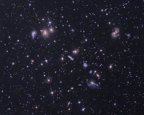 The "Hercules' Galaxy Cluster"
"...Ed è per questo che mi chiamano cinico. 
Per questo mi dicono che sono freddo come il marmo di una tomba.

Solo perchè - e non senza sforzi!... - riesco a vedere la Realtà per ciò che è. Davvero.

Senza maschere.
Senza finzioni.
Senza illusioni.

Vedere ed interpretare le cose che accadono per quello che esse sono realmente, eliminando le facili speculazioni emotive, la retorica, l'ipocrisia, il quieto vivere, e tutto quanto costituisce ciò che io chiamo "Scudo dell'Io", significa essere VIVI.

Significa non aver svenduto la propria Anima al miglior offerente.
Significa avere ancora sangue nelle vene, carne sopra le ossa e pensieri nella mente.

Significa essere Uomini.
Significa, in ultima analisi, "essere liberi".

Ma l'ipocrisia...L'ipocrisia che ci avvolge, dolce, suadente e sottile, coprendo le nostre miserie con una coltre di confortevole nebbia, chiama "lupi" coloro che comprendono la Realtà.

Bene. 

E allora, come lessi da qualche parte, "Se io sono realmente un lupo, guardati dalle mie zanne!"...".

P.C. Floegers - "Conversations for Tomorrow"
Parole chiave: From Earth Images - Professional Images