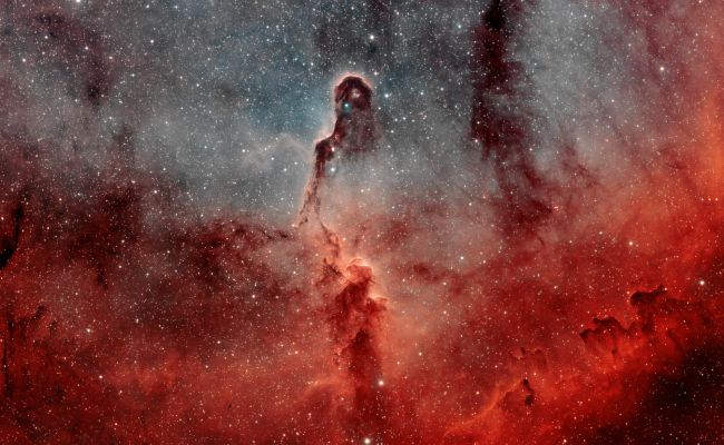 The "Elephant's Trunk Nebula" in IC 1396 
"...Show by your Good Life that your Works are done with Gentleness, born of Wisdom..."

- James, 3:13
Parole chiave: From Earth Pictures - Amatorial Pictures