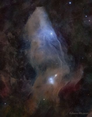 IC 4592: The Blue Horsehead Reflection Nebula (Image Credit & Copyright: Rabeea Alkuwari)
“...Inferno è quando le giuste imprese non si compiono.
Inferno è quando ogni seme di rosa, non diventa rosa.
Inferno è quando la rosa si convince che non profuma.
L'Inferno è un passaggio a livello aperto verso un muro...”

Alessandro d'Avenia
Parole chiave: Artistic Pictues
