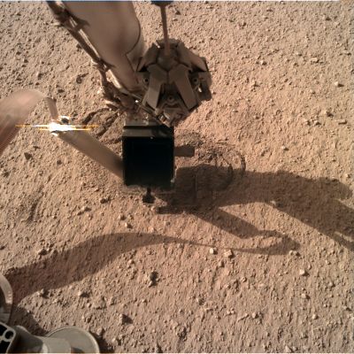 Elysium's Floor - Sol 343
Lo scopo di questo Lander, come ci spiega la stessa NASA, non é (ovviamente, solo) quello di ottenere delle "belle immagini" del Pianeta Rosso. Il fine é quello di studiare il Sottosuolo di Marte e le sue ettività (sismiche). Prendiamo atto. 
Da notare, in questa immagine, la colorazione del Suolo: diremmo rosa pallido, molto simile (ma forse un pò più chiaro) al Landing Site di Phoenix (Vastitas Borealis).

Caption NASA:"NASA's InSight Mars lander acquired this image using its Robotic Arm (RA)-mounted, Instrument Deployment Camera (IDC).

This image was acquired on November 13, 2019, Sol 343 where the Local Mean Solar Time was 07:50:40.196 AM. Each IDC image has a field of view of 45 x 45 degrees".
Parole chiave: Mars - Surface