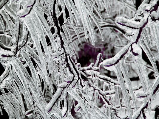 Frozen Life (by Dr Marco Faccin)
"...Gli Schemi sui quali è costruita la Natura sono frattali e, come sai, si ripetono - sempre uguali - sino all'infinito: dunque se tracci lo Schema corretto di una Goccia d'Acqua, avrai tracciato anche quello di una Galassia. 

Anzi...di tutte!..."

P.C. Floegers - "Conversations for Tomorrow"


Parole chiave: Artistic Pictures