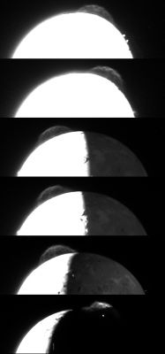Tvashtar's Rainbow...
Variations in the appearance of the giant plume from the Tvashtar volcano on Jupiter's moon Io are seen in this composite of the best photos taken by the New Horizons Long Range Reconnaissance Imager (LORRI) during its Jupiter flyby in late February-early March 2007.

New Horizons was fortunate to witness this unusually large plume during its brief Jupiter flyby; the Galileo Jupiter orbiter spent more than five years imaging the volcanic moon (between 1996 and 2001) without ever capturing such detailed pictures of a large Io plume. The plume is roughly 330 Km (about 200 miles) high. The cause of the fine wispy structure in the plume, which varies strikingly from image to image, is unknown, but these pictures may help scientists to understand the phenomenon.

The pictures were taken at distances ranging from 3,1 to 2,3 MKM (such as from 1,9 to 1,4 MMs), but they have been scaled to show the plume at the same relative size in every frame. Illumination conditions also vary: in the final image, Io's shadow cuts across the plume and hides all but its topmost regions, and the glow of hot lava can be seen on the nightside at the source of the plume.

The times of the images, from top to bottom, are: February 26, 18:38 (Universal Time); February 26, 21:01; February 28, 03:50; February 28, 04:40; February 28, 11:04 and March 1, 00:35.
Parole chiave: Jupiter's Moon - Io