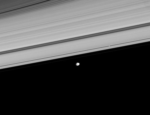 One is "Surrounded" and the other is "Free": Pan and Prometheus
Caption NASA:"Two of Saturn's moons coast along the outer edge of the Main Ring System. The orbits of seven small moons cluster just outside the F-Ring -- between the orbits of Pan and the co-orbital moons Janus and Epimetheus. 
Pan (approx. 28 Km, or about 17 miles across at its widest point) appears as a bright dot within the Encke Gap, right of center. Janus (about 179 Km, or approx. 111 miles across at its widest point) lies outside the A and F-Rings, below center. 

This view looks toward the sunlit side of the rings from about 2° below the Ring-Plane. The image was taken in visible light with the Cassini Spacecraft narrow-angle camera on Aug. 22, 2008. The view was obtained at a distance of approx. 1,3 MKM (such as about 808.000 miles) from Janus. 
Image scale is roughly 8 Km (5 miles) per pixel".
Parole chiave: Saturn's Rings - Pan and Prometheus