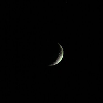 Smiling Japetus (by Elisabetta Bonora - Lunexit Team)
nessun commento
Parole chiave: Saturnian Moons - Japetus