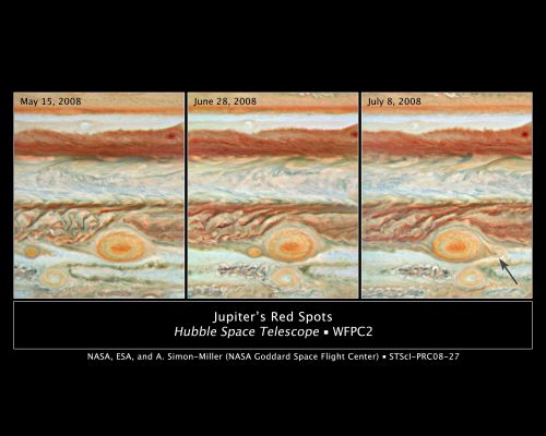 Three "Red Spots" Mix it Up on Jupiter
This sequence of Hubble Space Telescope images offers an unprecedented view of a planetary game of Pac-Man among 3 "Red Spots" clustered together in Jupiter's Atmosphere. The time series shows the passage of the "Red Spot Jr." in a band of clouds below (South) of the Great Red Spot (GRS). "Red Spot Jr." first appeared on Jupiter in early 2006 when a previously white storm turned red. This is the second time, since turning red, it has skirted past its big brother apparently unscathed. But this is not the fate of "Baby Red Spot", which is in the same latitudinal band as the GRS. This new red spot first appeared earlier this year. The Baby Red Spot gets ever closer to the GRS in this picture sequence until it is caught up in the anticyclonic spin of the GRS. In the final image the Baby Spot is deformed and pale in color and has been spun to the right (East) of the GRS. 
These three natural-color Jupiter images were made from data acquired on May 15, June 28, and July 8, 2008, by the Wide Field Planetary Camera 2 (WFPC2).
Parole chiave: From Space Images - Hubble Images