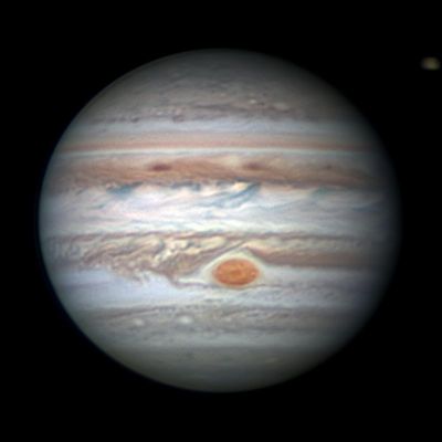 The "Giant" from Earth
This Earth-based observation of Jupiter and the South Tropical Disturbance approaching the Great Red Spot was captured on January, 26, 2018 by the Amateur Astronomer Christopher Go, who also processed the image.
Parole chiave: Jupiter
