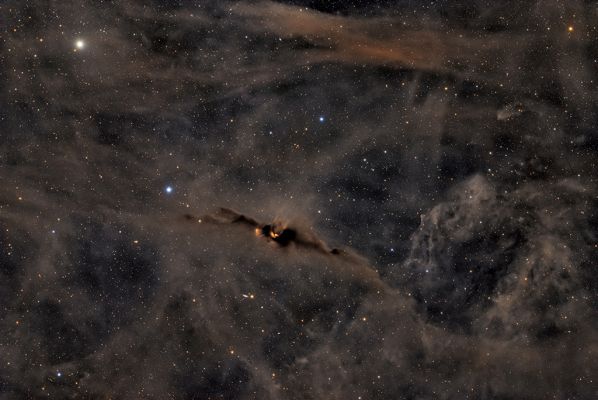 The "Bat Nebula" (Image Credit & Copyright: Humbert Cédric)
This Cosmic Bat wishes you a happy Summerween! 
This mid-year celebration of Halloween transcends hemispheres, even though summer in the Northern hemisphere is winter in the South. Contrary to its eery aura, the Cosmic Bat Nebula (LDN 43), not to be confused with the Bat Nebula (NGC 6995), is a vibrant birthplace for stars. 
A bit of young starlight peeks through the dense clouds of gas and dust that make up the Cosmic Bat’s 12 lightyear wingspan. 
The ultraviolet light from the young stars energizes the nebula’s hydrogen gas, causing it to glow an ominous red. 
The jet of glowing hydrogen gas emerging from the bat’s head hints at the star formation hidden within
Parole chiave: Nebulae