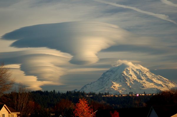 Lenticular Clouds' Cluster
Caption NASA:"Are those UFOs near that mountain? 
No! They are Multilayered Lenticular Clouds. 
Moist air forced to flow upward around mountain tops can create lenticular clouds. Water droplets condense from moist air cooled below the dew point, and clouds are opaque groups of water droplets. Waves in the air that would normally be seen horizontally can then be seen vertically, by the different levels where clouds form. 
On some days the city of Seattle, Washington, USA, is treated to an usual sky show when lenticular clouds form near Mt. Rainier, a large mountain that looms just under 100 Km South-Eeast of the city. 
This image of a spectacular cluster of lenticular clouds was taken last December (2008)".
Parole chiave: Artistic Pictures