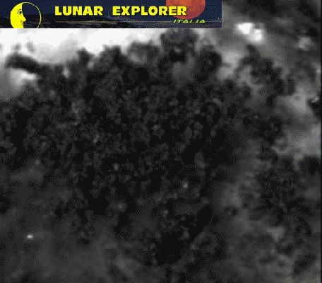 Microscopic Lifeforms in Motion? (GIF-Movie; credits: Dr G. Barca)
nessun commento
Parole chiave: GIF-Movie