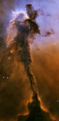M 16 - Gas Pillar in the Eagle Nebula
Questa immagine è dedicata alla Memoria di Renata Fienga, la mia unica Zia paterna, spentasi nella tarda serata di venerdì 7 Dicembre 2008.
Renata Fienga ("Zia Renata") era nata a Salerno nel lontano 1924. 
Zia Renata mi ha accompagnato per un lunghissimo tratto del cammino che mi ha portato, non senza difficoltà e delusioni, ad abbracciare la carriera di Ricercatore e Divulgatore nel Campo delle Scienze Astronomiche in generale e Planetarie in particolare. 
Grande Appassionata di Musica e Cinema (Fantascienza in particolare), mi ha insegnato ad amare il pianoforte (che lei suonava benissimo) ed a considerare alcuni (drammatici) eventi della Vita (dalla II Guerra Mondiale, alla tragica - e precoce - morte del Padre - Catello - ed alla gravissima malattia che bloccò la Madre - Brigida - a letto, per oltre sette anni), come chiavi di lettura per la comprensione di noi stessi, del nostro ruolo, e delle nostre reali forze e motivazioni.

Zia Renata aveva una incrollabile Fede in Dio.
L'unica mia Preghiera (e Speranza), oggi, è che questa Fede l'abbia realmente portata al cospetto di Colui che lei ha pregato e supplicato per una Vita intera, affinchè vegliasse sui suoi Cari: su mio Padre, su mia Madre, su mia Moglie e su me stesso.

Il Sito Lunar Explorer Italia ed i Lavori in esso contenuti sono dedicati anche a Lei, ai Suoi insegnamenti ed alla Sua Memoria.

Legnano, lì 9 Dicembre 2007 - Paolo C. Fienga
Parole chiave: From Space Images - Hubble Space Telescope