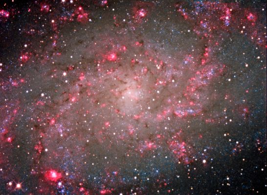 M 33 - Spiral Galaxy
"...Ingenium donum exitiale Minervae (est)..."

(Virgilio)

"...L'intelligenza è un nefasto dono di Minerva..."
Parole chiave: From Earth Pictures - Professional Pictures