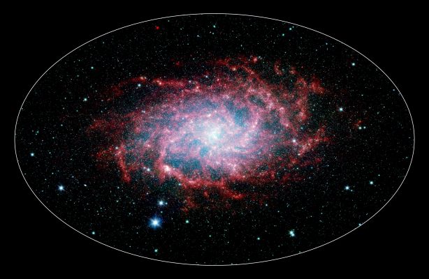 M 33 - Spiral Galaxy
One of our closest galactic neighbors shows its awesome beauty in this new image from NASA's Spitzer Space Telescope. 
M 33, also known as the "Triangulum Galaxy", is a member of what's known as our Local Group of galaxies. Along with our own Milky Way, this group travels together in the universe, as they are gravitationally bound. 
In fact, M 33 is one of the few galaxies that is moving toward the Milky Way despite the fact that space itself is expanding, causing most galaxies in the universe to grow farther and farther apart. 

When viewed with Spitzer's InfraRed eyes, this elegant spiral galaxy sparkles with color and detail. Stars appear as glistening blue gems (many of which are actually foreground stars in our own galaxy), while dust in the spiral disk of the galaxy glows pink and red. But not only is this new image beautiful, it also shows M 33 to be surprising large —bigger than its Visible-Light appearance would suggest. 
With its ability to detect cold, dark dust, Spitzer can see emission from cooler material well beyond the visible range of M 33's disk. Exactly how this cold material moved outward from the galaxy is still a mystery, but winds from giant stars or supernovas may be responsible. 

M 33 is located about 2,9 MLY away in the constellation Triangulum. This composite image was taken by Spitzer's InfraRed Array Camera (a.k.a.: IRAC). The color blue indicates InfraRed Light of 3.6 microns, green shows 4.5-micron light, and red 8.0 microns.
Parole chiave: From Space Images - Spitzer Space Telescope (SST)