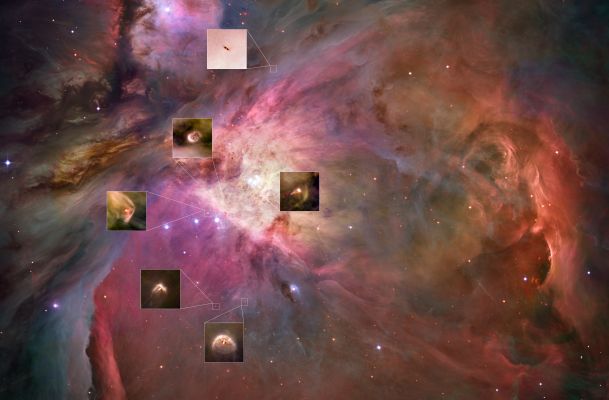 M 42 - Proplyds in the Great Orion Nebula
"...Gli estremismi del cosiddetto "Tifo Sportivo" sono l'equivalente pagano dell'integralismo e dell'intolleranza Religiosa..."

Paolo C. Fienga
Parole chiave: From Space Images - Hubble Space Telescope (HST)