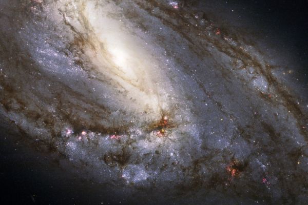 M 66 - Spiral Galaxy
"...My way of joking is to tell the Truth. Because the Truth is, very often, the funniest joke in the World..."

George Bernard Shaw (1856 - 1950)
Parole chiave: From Space Images - Hubble Space Telescope