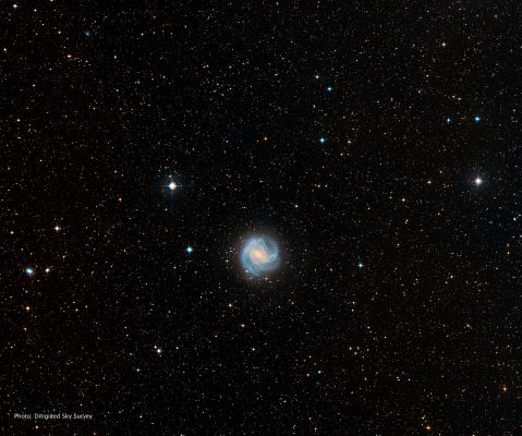 M 83 - Spiral Galaxy
"...Nihil est tam contrarium Rationi et Constantiae quam Fortuna..."

(Cicerone)

"...Nulla, quanto la Sorte, è più contrario a Costanza e Ragione..." (trad. libera)
Parole chiave: From Earth Pictures - Professional Pictures - Palomar Obs.
