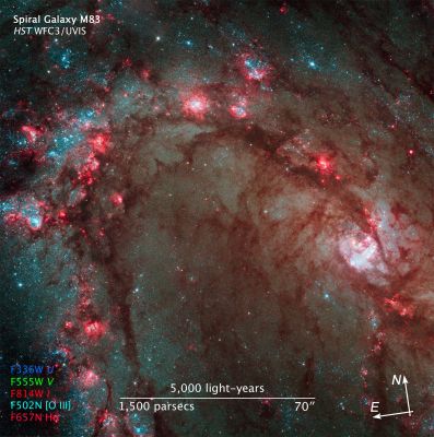M 83 - Spiral Galaxy
"...Irus et est subito, qui modo Croesus erat..."

(Ovidio)

"...Si fa presto a precipitare dalla ricchezza nella miseria..." (trad. libera)
Parole chiave: From Space Images - Hubble Space Telescope (HST)