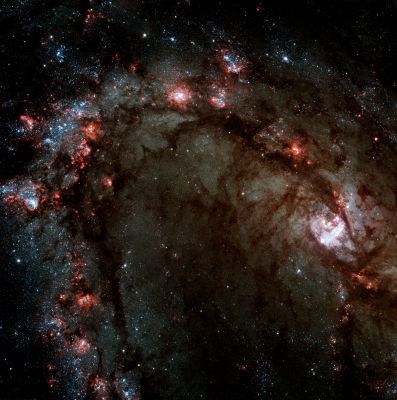 In the heart of M 83 (additional color process. by Lunexit)
"...Il Mondo può benissimo fare a meno della Letteratura. Ma ancor di più può fare a meno dell'uomo..."

J.P. Sartre
Parole chiave: From Space Images - Hubble Space Telescope (HST)