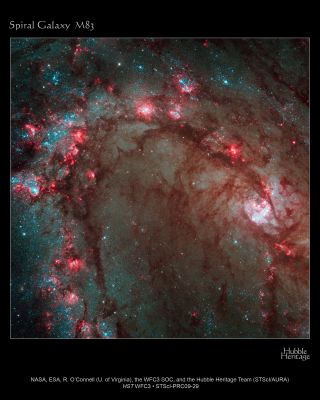 Hubble Wide Field Camera 3 - Image Details Star Birth in Galaxy M-83
The spectacular new camera installed on NASA's Hubble Space Telescope during Servicing Mission 4 in May has delivered the most detailed view of star birth in the graceful, curving arms of the nearby spiral galaxy M83.

Nicknamed the Southern Pinwheel, M83 is undergoing more rapid star formation than our own Milky Way galaxy, especially in its nucleus. The sharp "eye" of the Wide Field Camera 3 (WFC3) has captured hundreds of young star clusters, ancient swarms of globular star clusters, and hundreds of thousands of individual stars, mostly blue supergiants and red supergiants.

The image, taken in August 2009, provides a close-up view of the myriad stars near the galaxy's core, the bright whitish region at far right.

WFC3's broad wavelength range, from ultraviolet to near-infrared, reveals stars at different stages of evolution, allowing astronomers to dissect the galaxy's star-formation history.

The image reveals in unprecedented detail the current rapid rate of star birth in this famous "grand design" spiral galaxy. The newest generations of stars are forming largely in clusters on the edges of the dark dust lanes, the backbone of the spiral arms. These fledgling stars, only a few million years old, are bursting out of their dusty cocoons and producing bubbles of reddish glowing hydrogen gas.

The excavated regions give a colorful "Swiss cheese" appearance to the spiral arm. Gradually, the young stars' fierce winds (streams of charged particles) blow away the gas, revealing bright blue star clusters. These stars are about 1 million to 10 million years old. The older populations of stars are not as blue.

A bar of stars, gas, and dust slicing across the core of the galaxy may be instigating most of the star birth in the galaxy's core. The bar funnels material to the galaxy's center, where the most active star formation is taking place. The brightest star clusters reside along an arc near the core.

The remains of about 60 supernova blasts, the deaths of massive stars, can be seen in the image, five times more than known previously in this region. WFC3 identified the remnants of exploded stars. By studying these remnants, astronomers can better understand the nature of the progenitor stars, which are responsible for the creation and dispersal of most of the galaxy's heavy elements.

M83, located in the Southern Hemisphere, is often compared to M51, dubbed the Whirlpool galaxy, in the Northern Hemisphere. Located 15 million light-years away in the constellation Hydra, M83 is two times closer to Earth than M51.

Parole chiave: From Space Images - Hubble Space Telescope (HST)