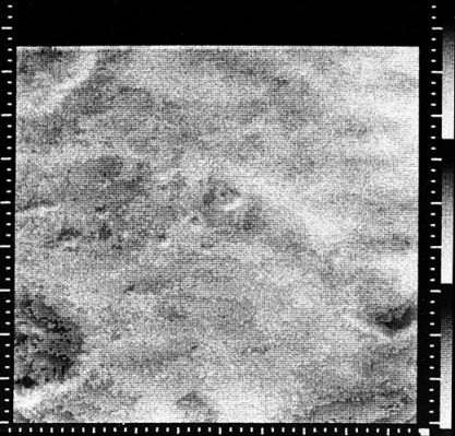 Mars from Mariner 4
nessun commento
Parole chiave: Mars from orbit - Craters