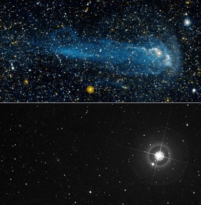 Mira's Tail
Caption NASA:"NASA's Galaxy Evolution Explorer discovered an exceptionally long comet-like tail of material trailing behind Mira -- a star that has been studied thoroughly for about 400 years. 
So, why had this tail gone unnoticed for so long? The answer is that nobody had scanned the extended region around Mira in ultraviolet light until now. 

As this composite demonstrates, the tail is only visible in ultraviolet light (top), and does not show up in visible light (bottom). Incidentally, Mira is much brighter in visible than ultraviolet light due to its low surface temperature of about 3000 Kelvin (about 5000° Fahrenheit)".
Parole chiave: From Space Images - Galaxy Evolution Explorer (GALEX)