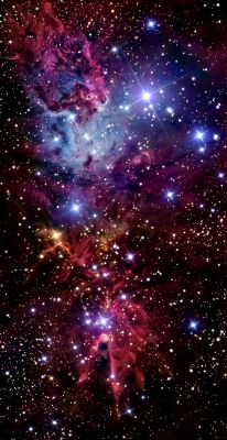 Skyscape in Monoceros
"...Facilius Natura intelligitur, quam enarratur..."

(Seneca)

"...E' molto più semplice arrivare a comprendere le Leggi della Natura, piuttosto che (una volta comprese) spiegarle ad altri..." (trad. libera)
Parole chiave: From Earth Pictures - Professional Pictures