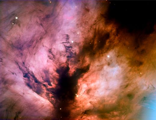 NGC 2024 - The "Flame Nebula"
"...Forse l’Amore è il processo con il quale
Ti riconduco, dolcemente, a te stesso.
Non a ciò che io voglio che tu sia,
Ma a ciò che tu veramente sei..."

Leo Buscaglia - "Vivere Amare Capirsi"

Parole chiave: From Earth Pictures - Professional Pictures