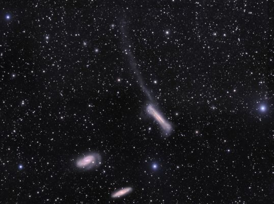 The Tidal Tail of NGC 3628
"...Ubi fuerit superbia, ibi erit et contumelia; ubi autem est Humilitas, ibi et Sapientia..."

(Bibbia - Prov., 11,2)

"...(e) laddove ci sarà arroganza, pure ci sarà volgarità; (ma) laddove v'è Umiltà, là vi è pure Saggezza..." (trad. libera)
Parole chiave: From Earth Images - Professional Images