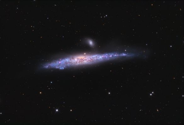 NGC 4631 - Irregular Spiral Galaxy
"...Try not: do! Or do not. ..."

(dal film "Star Wars")
Parole chiave: From Space Images - Hubble Space Telescope (HST) Images