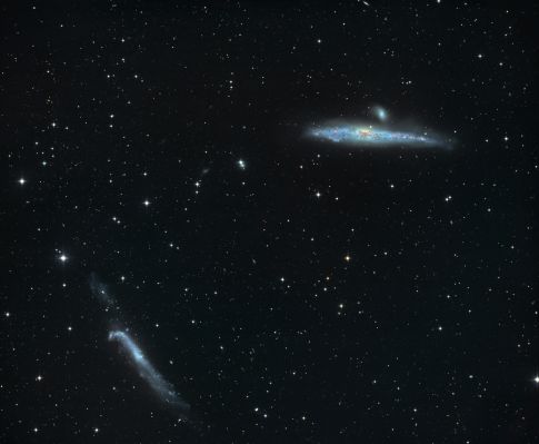 NGC 4631 and NGC 4656 - The "Whale" and the "Hockey Stick"
"...non credo di essere un complottista ad affermare questo: io penso che la nostra Civiltà abbia un certo tempo a disposizione per non collassare su se stessa e, per riuscirvi, non ha bisogno di raggiungere la "pace interiore"... (ed infatti) non esiste alcuna armonia (dell'Animo) la quale sia capace di sfamare a lungo una specie così invasiva e prolifica come quella "Umana"...
E quindi, così come in ogni scenario (troppo complesso e troppo rischioso) da dover affrontare, c'è sempre un "Piano B" (pronto all'uso, in caso di necessità)..."

Marco Faccin
Parole chiave: From Earth Images - Amatorial Images