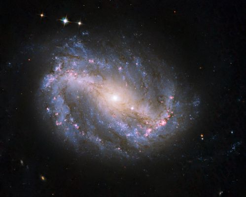 NGC 6217 - Barred Spiral Galaxy
"...As Servants of God, live as free people..."

- 1 Peter; 2:16
Parole chiave: From Space Images - Hubble Space Telescope (HST)