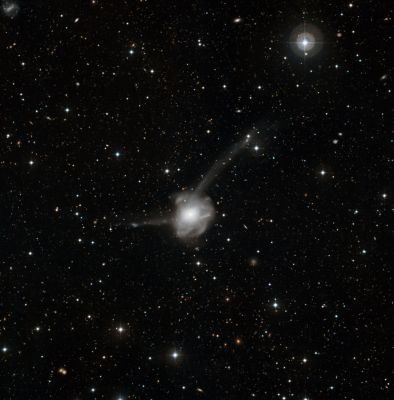 NGC 7252 - Interacting Galaxy
"...Parla da saggio ad un ignorante, ed egli ti dirà che sei uno sciocco..." 

Euripide
Parole chiave: From Earth Pictures - Professional Pictures