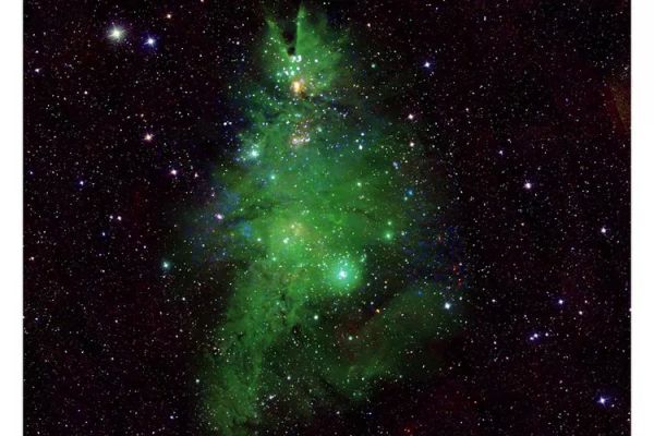NGC 2264 - The Christmas Tree Nebula
"Diffidate degli ottimisti, sono la claque di Dio". 

(Gesualdo Bufalino)
Parole chiave: Deep Sky Ojects