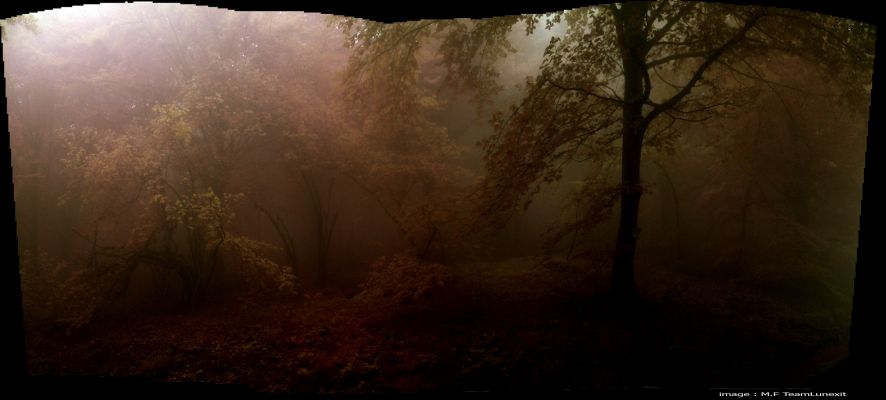 Another Way to See... (by Marco Faccin)
"...Un buon provvedimento emanato da un cattivo governo, è (o diviene), per questo solo fatto, un cattivo provvedimento? 
Ed un cattivo provvedimento emanato da un buon governo, è (o diviene), per questo solo fatto, un buon provvedimento?..."

Paolo C. Fienga
Parole chiave: Artistic Pictures