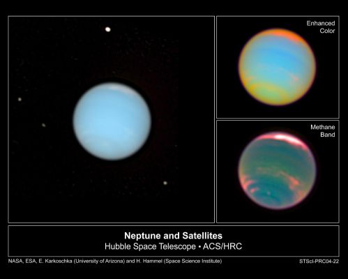Views of Neptune (from Hubble Space Telescope)
nessun commento
Parole chiave: From Space images - Hubble Space Telescope (HST)