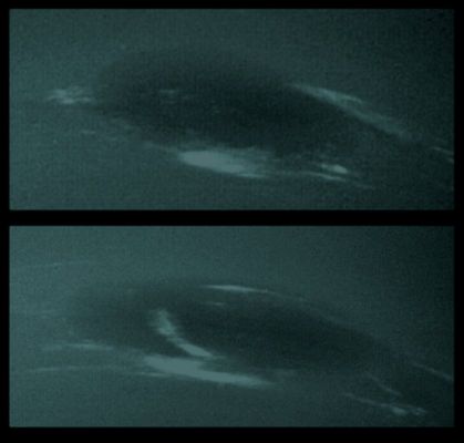 Clouds near the "Eye" of Neptune (Natural Colors; credits: Lunexit)
Caption NASA:"The bright cirrus-like clouds of Neptune change rapidly, often forming and dissipating over periods of several to tens of hours. In this sequence, Voyager 2 observed cloud evolution in the region around the Great Dark Spot (GDS). 
The surprisingly rapid changes which occur separating each panel shows that in this Region Neptune's weather is perhaps as dynamic and variable as that of the Earth. However, the scale is immense by our standards -- the Earth and the GDS are of similar size -- and in Neptune's frigid Atmosphere, where temperatures are as low as 55 degrees Kelvin (-360 F), the cirrus clouds are composed of frozen Methane rather than Earth's crystals of water ice".
Parole chiave: Neptune - Upper Atmosphere