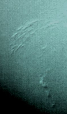 South Polar Clouds and Shadows (Natural Colors; credits: Lunexit)
Caption NASA:"This image of Neptune's South Polar Region was obtained by the NASA Voyager 2 Probe narrow-angle camera on Aug. 23, 1989, when it was at a distance of about 25 MKM (about 1,6 MMs). 
The smallest cloud features are 45 Km (about 28 miles) in diameter. Also this image shows the discovery of shadows in Neptune's Atmosphere, shadows cast onto a deep cloud bank by small elevated clouds. Located at about 68° South Lat., they are the first cloud shadows ever seen by the Voyager on any Planet. 
The dark regions adjacent to the small bright clouds are believed to be shadows, because they are on the side of the cloud that is opposite to the incoming Sunlight and also because they lengthen in places where the Sun lies closer to the horizon".
Parole chiave: Neptune - Upper Atmosphere