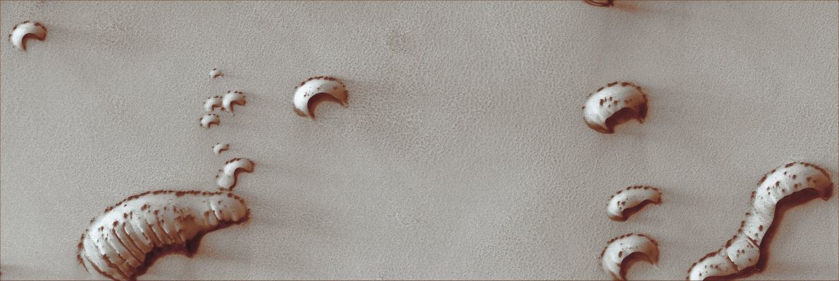 North Polar Dunes (Natural Colors; credits for the additional process. and color.: Dr Paolo C. Fienga - Lunexit Team)
Caption NASA originale:"This MGS-MOC image shows dunes in the North Polar Region of Mars. In this scene, the dunes and the plain on which the dunes reside, are at least in part covered by a bright CO2 frost. Dark spots indicate areas where the frost has begun to change, either by subliming away to expose dark sand, changing to a coarser particle size, or both. The winds responsible for the formation of these dunes blew from the South-West toward the North-East.  

Location near: 76,3° North; 261,2° West
Image width: ~3 Km (~1,9 mi)  
Illumination from: lower left  
Season: Northern Spring
Parole chiave: Mars from orbit - North Polar Dunes