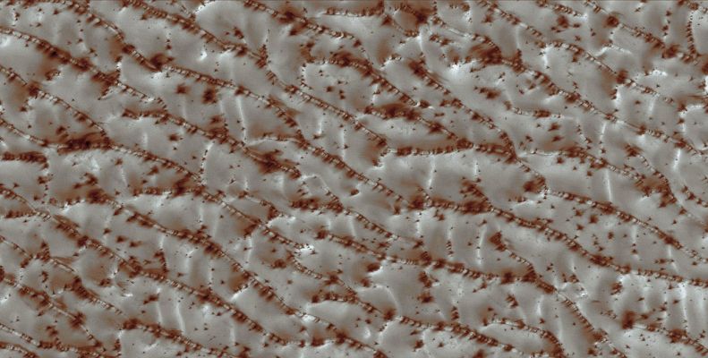 Defrosting North Polar Dunes (Natural Colors; credits for the additional process. and color.: Dr Paolo C. Fienga - Lunexit Team)
nessun commento
Parole chiave: Mars from orbit - North Polar Dunes