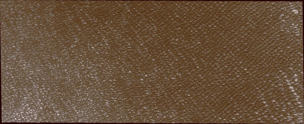 North Polar Erg (Absolute Natural Colors; credits for the additional process. and color.: Dr Paolo C. Fienga - Lunexit Team)
Caption NASA:"A vast Region of sand dunes is located on the margin of the North Polar Cap of Mars. This 'sea' of sand is call "Polar Erg".

Coord.: 80,5° North Lat. and 183,5° East Long.

Parole chiave: Mars from orbit - North Polar Features - Erg (or Sea of Dunes)